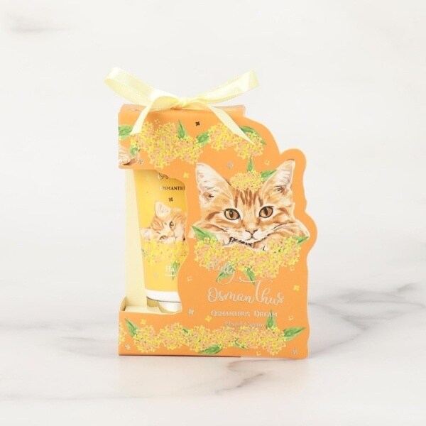 [}C]؍҂ƔL nhN[/YeXione'sterracej IWi967j