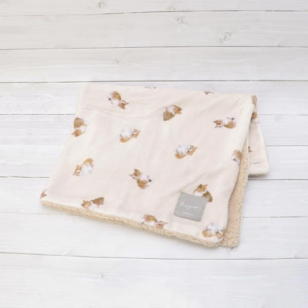 [}C]yz`[tvg 3WAYЂ|/YeXione'sterracej x[Wi952j