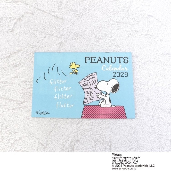 [}C]SNOOPY RJ_[ Ǌ|/YeXione'sterracej u[i993j