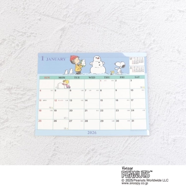 [}C]SNOOPY V[gJ_[ /YeXione'sterracej u[i993j