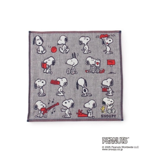 [}C]SNOOPY 3dK[[~j^I/YeXione'sterracej O[i912j