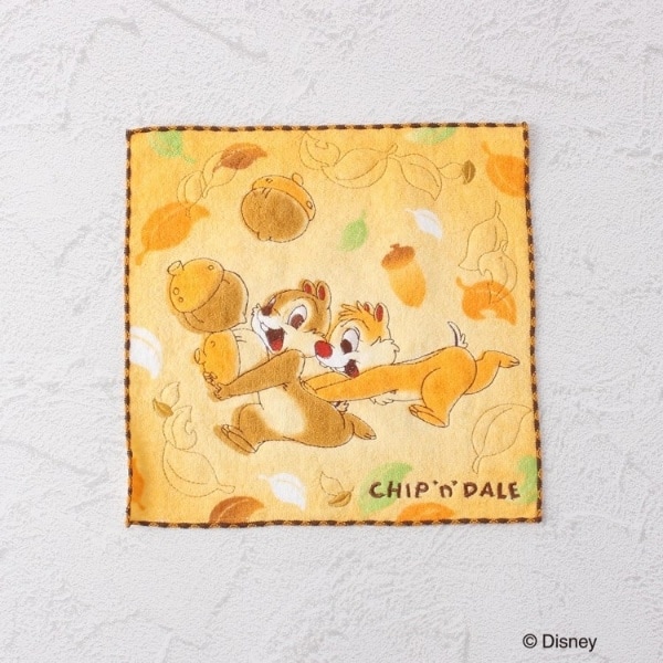 [}C]fBYj[ w`bvf[x ^InJ` EH[^[ibc/YeXione'sterracej IWi967j