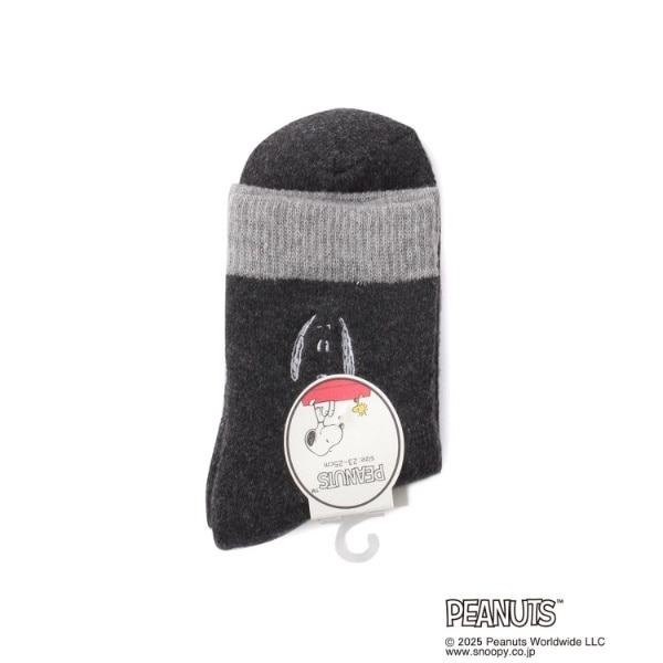 [}C]SNOOPY hJ pC\bNX/YeXione'sterracej `R[O[i913j