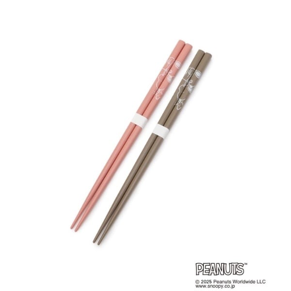 [}C]SNOOPY VZbg/YeXione'sterracej sNi993j