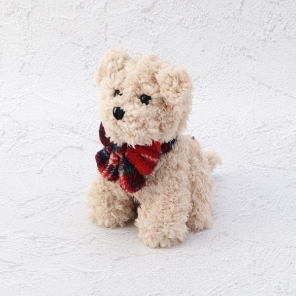 [}C]ObN ʂ ViEU[/YeXione'sterracej AC{[i904j