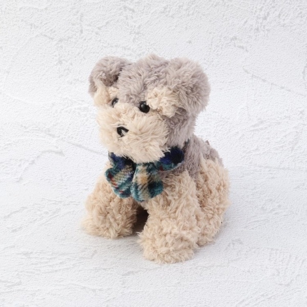 [}C]ObN ʂ ViEU[/YeXione'sterracej O[i912j