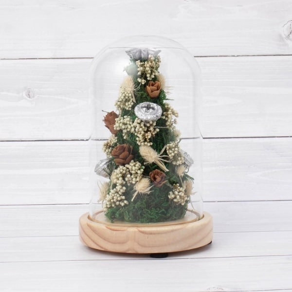 [}C]yYeXNX}XzX c[h[/YeXione'sterracej zCgi901j