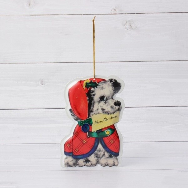 [}C]yNX}Xz^ _CJbg|XgJ[h/YeXione'sterracej O[i912j