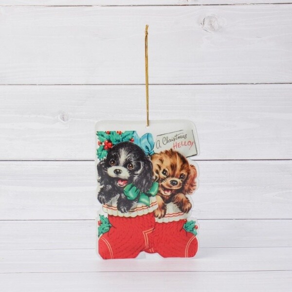 [}C]yNX}Xz^ _CJbg|XgJ[h/YeXione'sterracej X~Ni918j