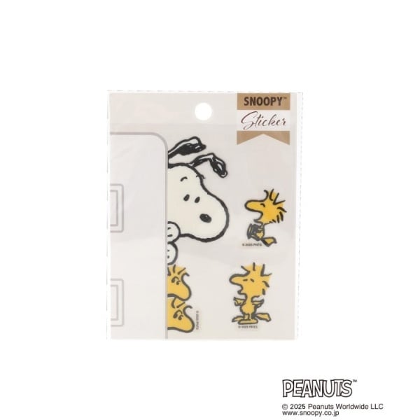 [}C]SNOOPY XCb`XebJ[/YeXione'sterracej zCgi901j