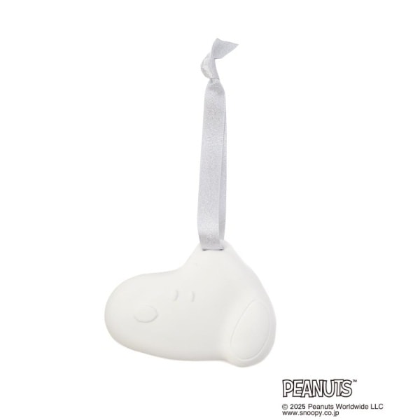 [}C]SNOOPY tOXI[ig/YeXione'sterracej CgO[i911j