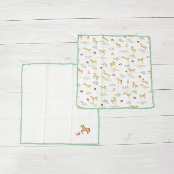 [}C]bv fBbVNX2P N/YeXione'sterracej O[i922j