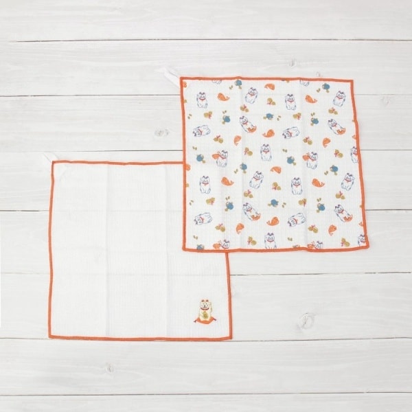 [}C]bv fBbVNX2P N/YeXione'sterracej IWi967j