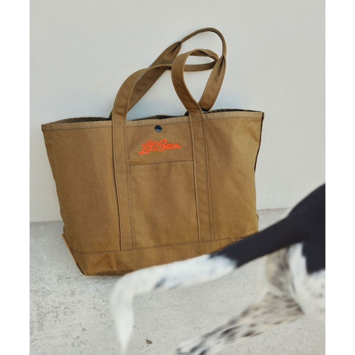 [�}���C]�yL.L.Bean for SALON�i�G���E�G���E�r�[���j�z�ʒ�middle grocery to/�T���� �A�_�� �G ���y�iSALON adam et rope' �j �u���E���n(24)