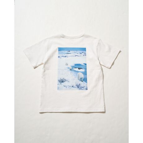 [^:205R5434]I[KjbNRbg100̓ʐ^ƁEOMsƃR{[VsVcłBnɍvƂzAg̏ےłŊ@ɂVN}`[tɂʐ^gpĂ܂B݂̃^OvgȂ̂Œp̍ہA񌳂`N`NCɂȂ܂BlɂAɂ₳sVcłBAC{[̓obNvgAubN͐ʃvgɂĂ܂B