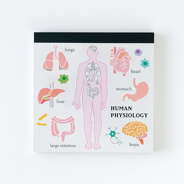 [}C]pbhEXNGA(lސw)/X^fBzbNiSTUDY HOLICj