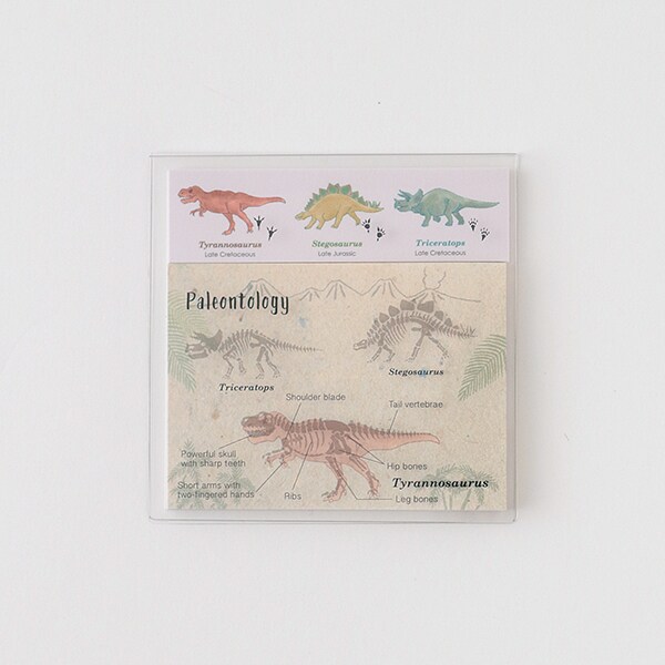 [}C]NAJo[tⳁiÐwj/X^fBzbNiSTUDY HOLICj