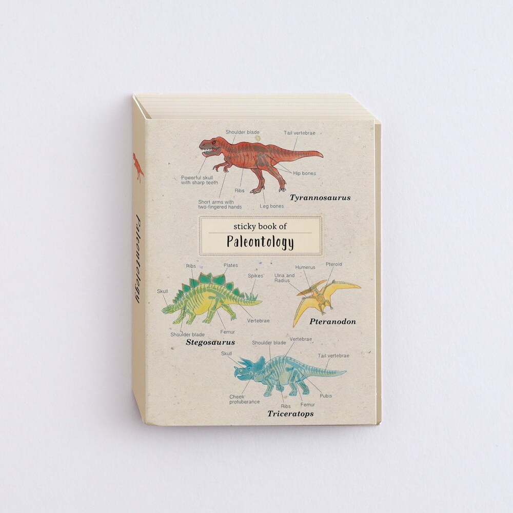 [}C]XeBbL[ubNiÐwj/X^fBzbNiSTUDY HOLICj