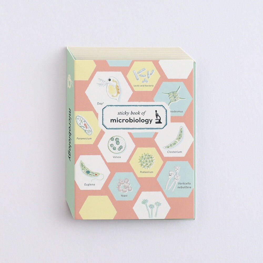 [}C]XeBbL[ubNiwj/X^fBzbNiSTUDY HOLICj