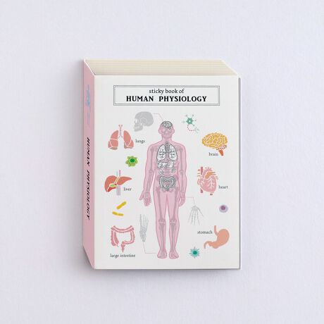 [^:ST-316]܂Ŏ̂悤xG̃pbP[WytⳃZbgBg₷`̕tⳂĂ܂BU~eQOFH20~W58mm@FH30~W58mm@FH50~W58