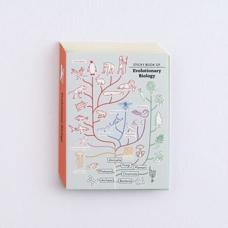 [^:ST-319]܂Ŏ̂悤xG̃pbP[WytⳃZbgBg₷`̕tⳂĂ܂BU~eQOFH20~W58mm@FH30~W58mm@FH50~W58