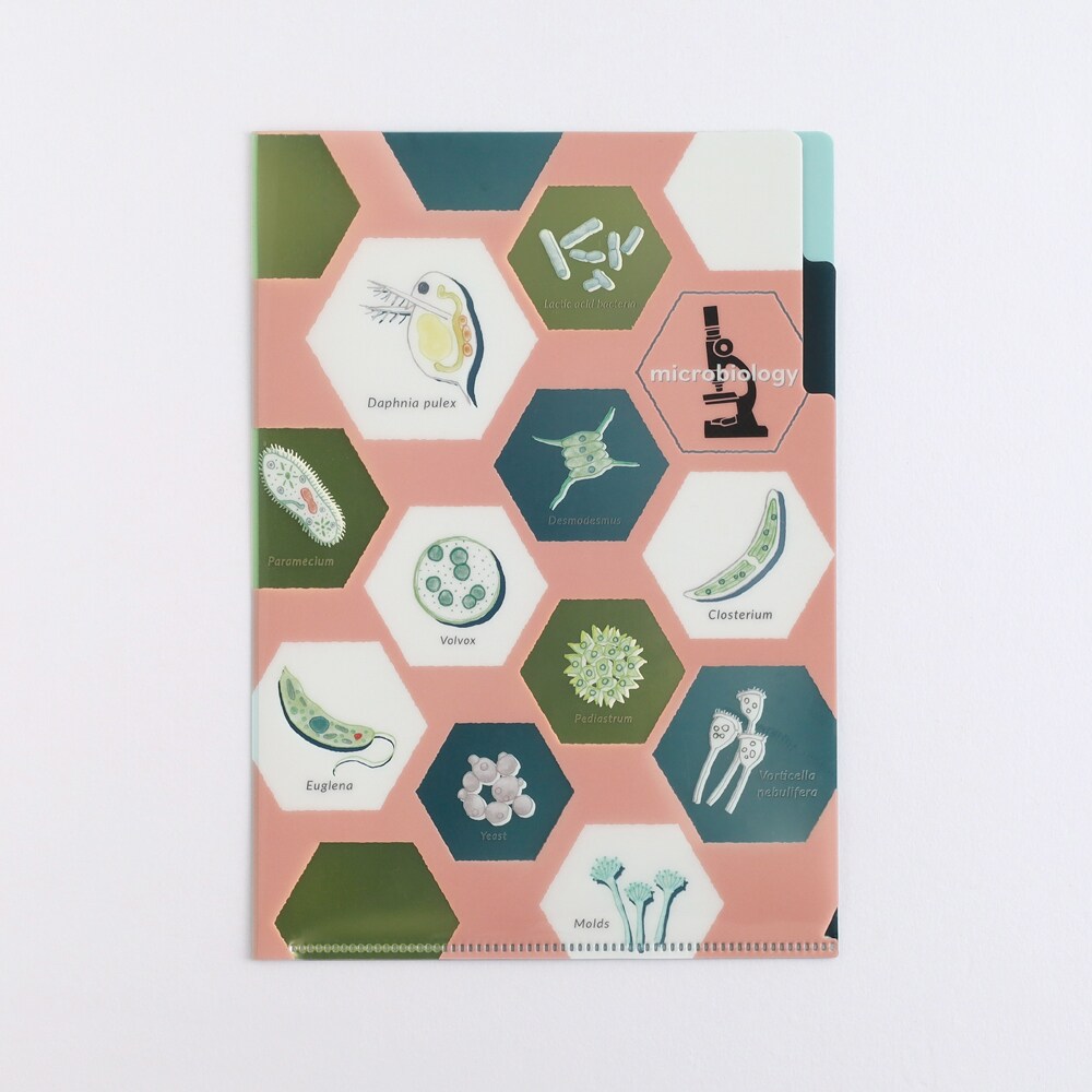 [}C]A5|PbgNAt@Ciwj/X^fBzbNiSTUDY HOLICj