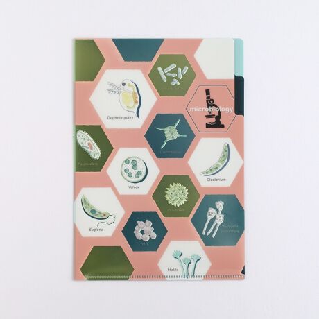 [^:ST-339]d؂ɑSʃVo[قǂAꕔ̊GLƋPd|y|PbgNAt@CB`TTCYH220~W155mm