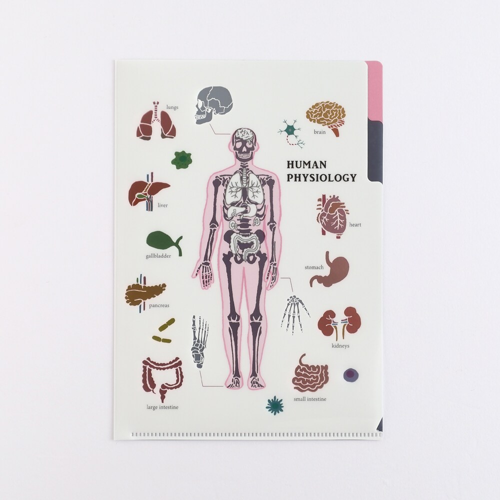 [}C]A5|PbgNAt@Cilސwj/X^fBzbNiSTUDY HOLICj