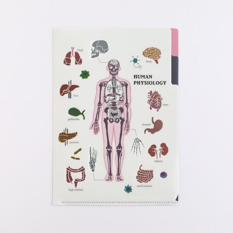 [^:ST-340]d؂ɑSʃVo[قǂAꕔ̊GLƋPd|y|PbgNAt@CB`TTCYH220~W155mm