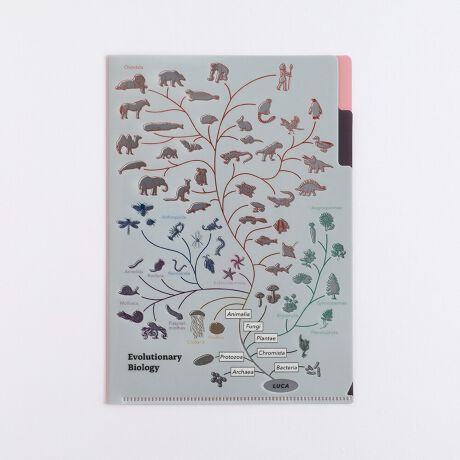 [^:ST-343]d؂ɑSʃVo[قǂAꕔ̊GLƋPd|y|PbgNAt@CB`TTCYH220~W155mm