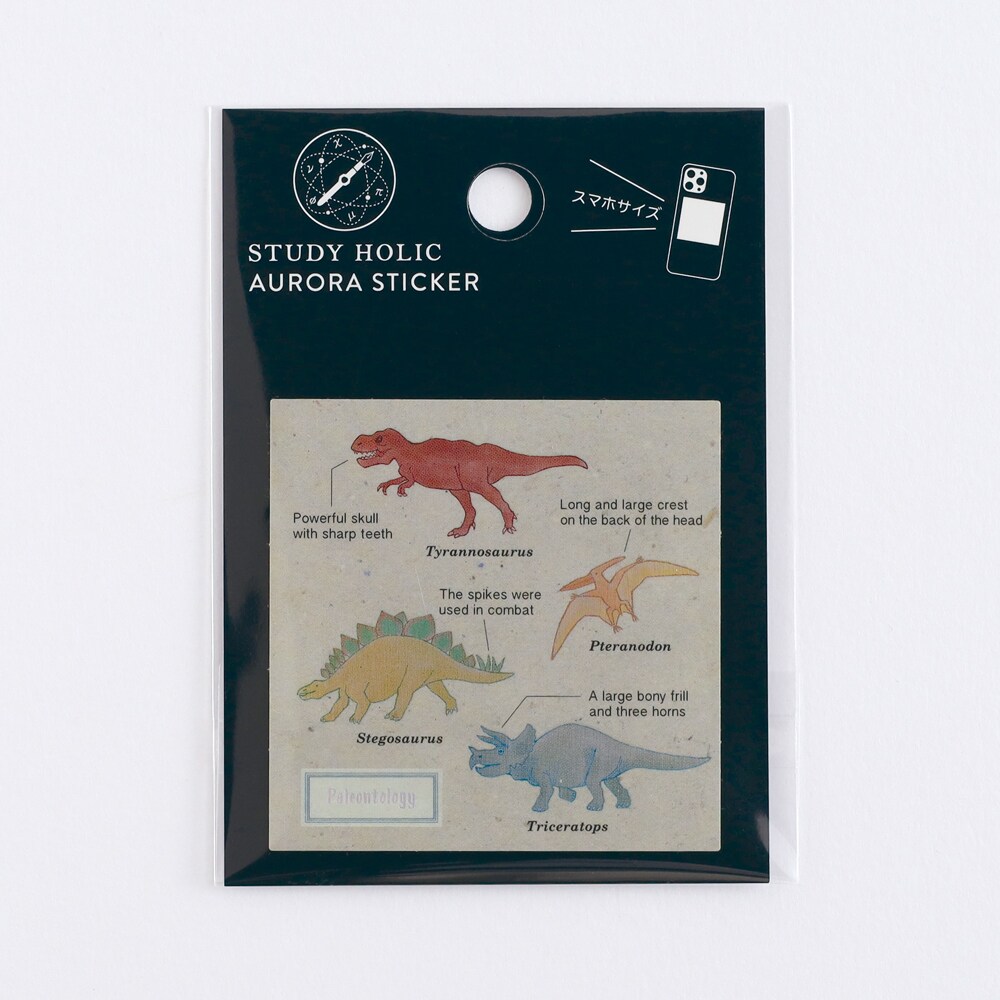 [}C]I[XebJ[iÐwj/X^fBzbNiSTUDY HOLICj