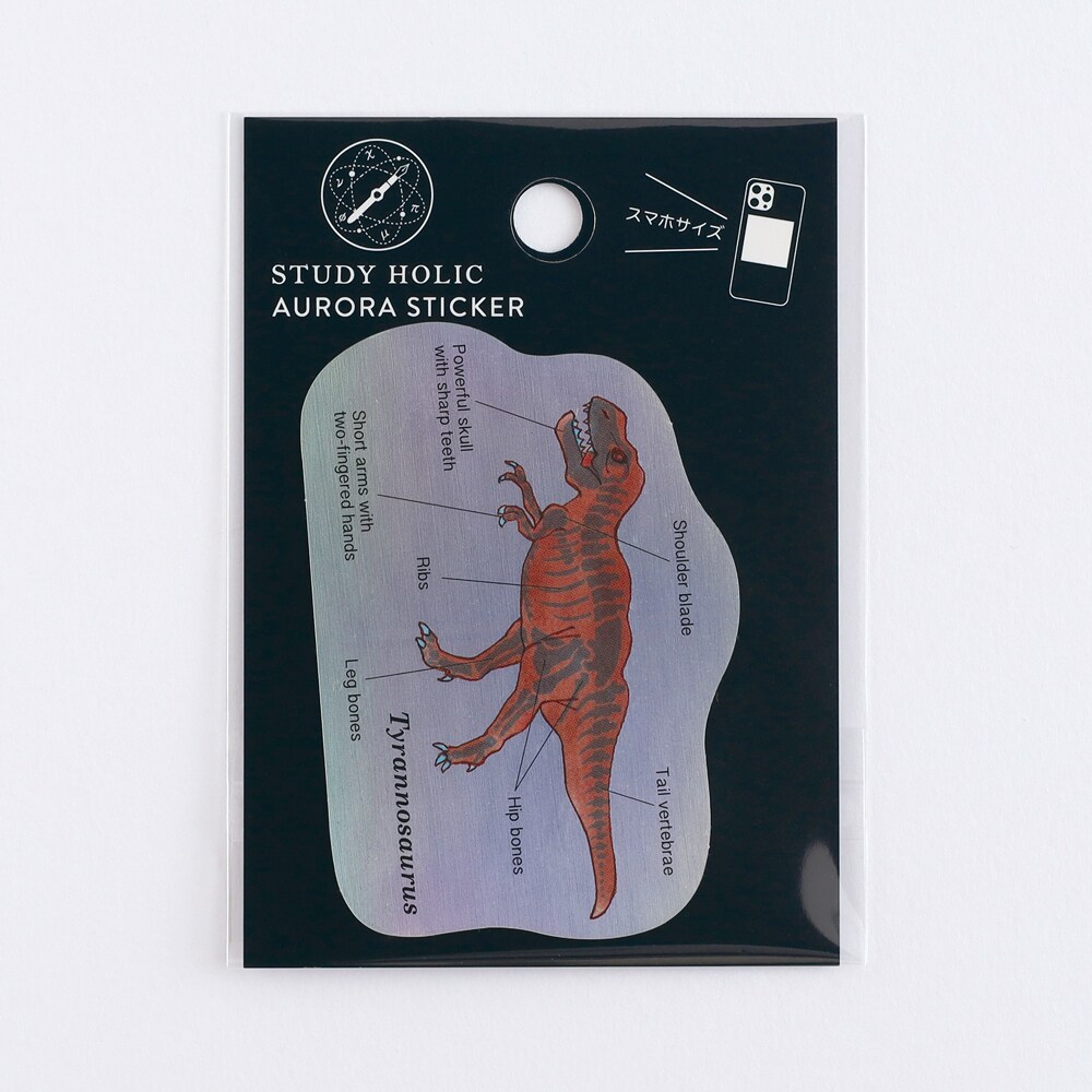 [}C]I[XebJ[iÐw/eBmTEXj/X^fBzbNiSTUDY HOLICj