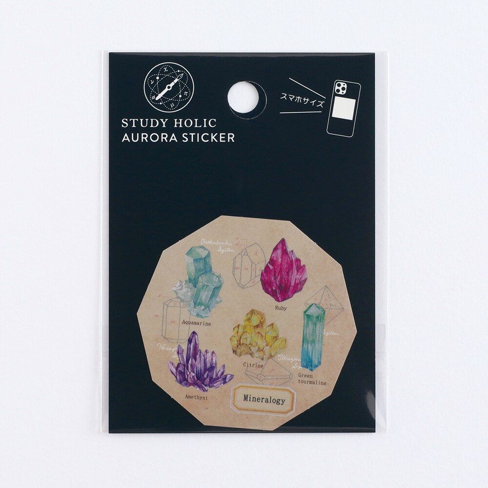 [}C]I[XebJ[izwj/X^fBzbNiSTUDY HOLICj