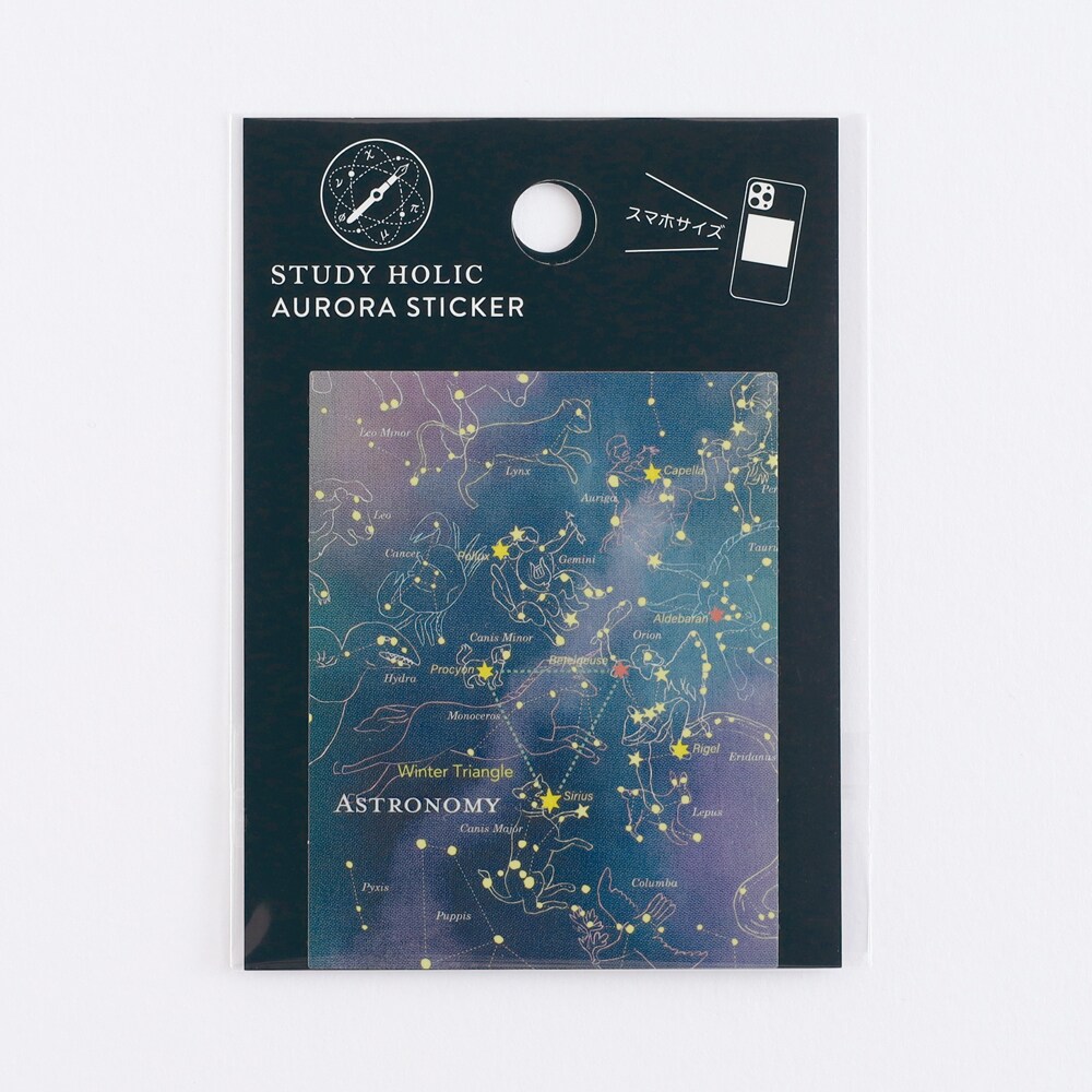 [}C]I[XebJ[iVw/IIj/X^fBzbNiSTUDY HOLICj