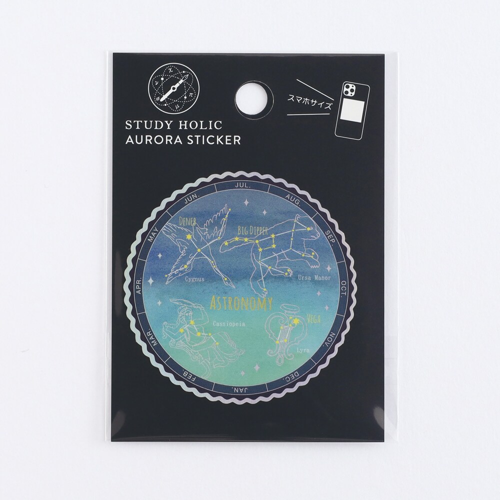 [}C]I[XebJ[iVwj/X^fBzbNiSTUDY HOLICj