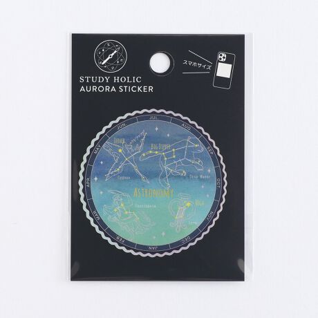 [^:ST-350]IɊGLLPAϐEό̃XebJ[VoBX}zP[Xɂ҂ȃTCYB{́FH80~W60mmȓ