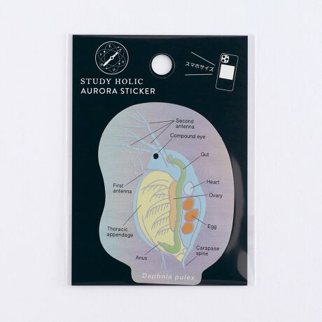 [^:ST-356]IɊGLLPAϐEό̃XebJ[VoBX}zP[Xɂ҂ȃTCYB{́FH80~W60mmȓ