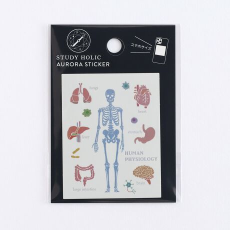 [^:ST-357]IɊGLLPAϐEό̃XebJ[VoBX}zP[Xɂ҂ȃTCYB{́FH80~W60mmȓ