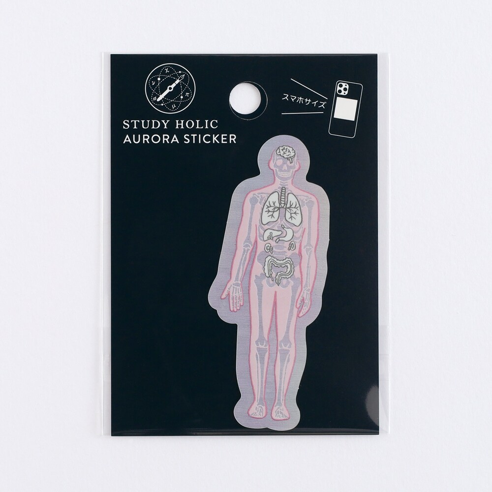 [}C]I[XebJ[ilސw/ĺj/X^fBzbNiSTUDY HOLICj