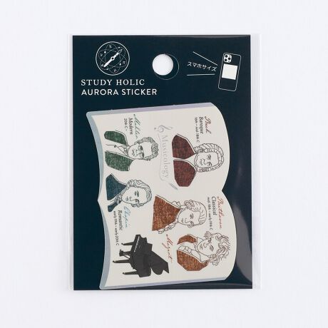 [^:ST-359]IɊGLLPAϐEό̃XebJ[VoBX}zP[Xɂ҂ȃTCYB{́FH80~W60mmȓ