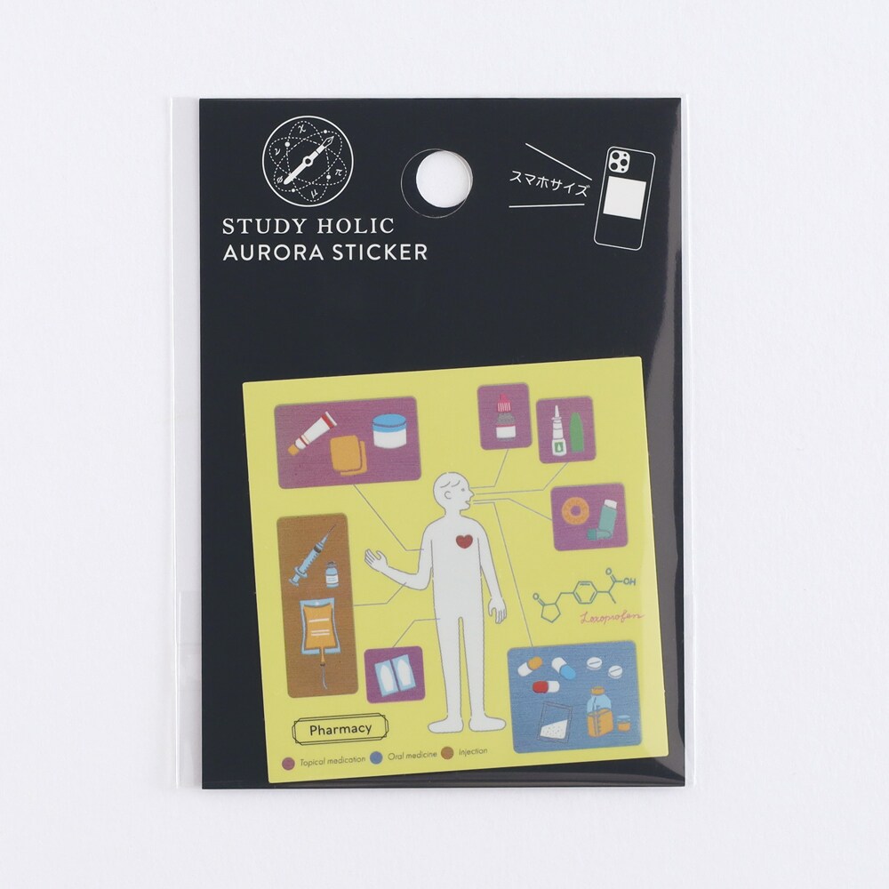 [}C]I[XebJ[iwj/X^fBzbNiSTUDY HOLICj