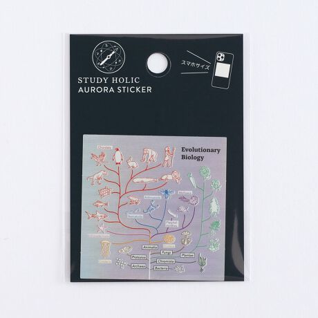 [^:ST-361]IɊGLLPAϐEό̃XebJ[VoBX}zP[Xɂ҂ȃTCYB{́FH80~W60mmȓ