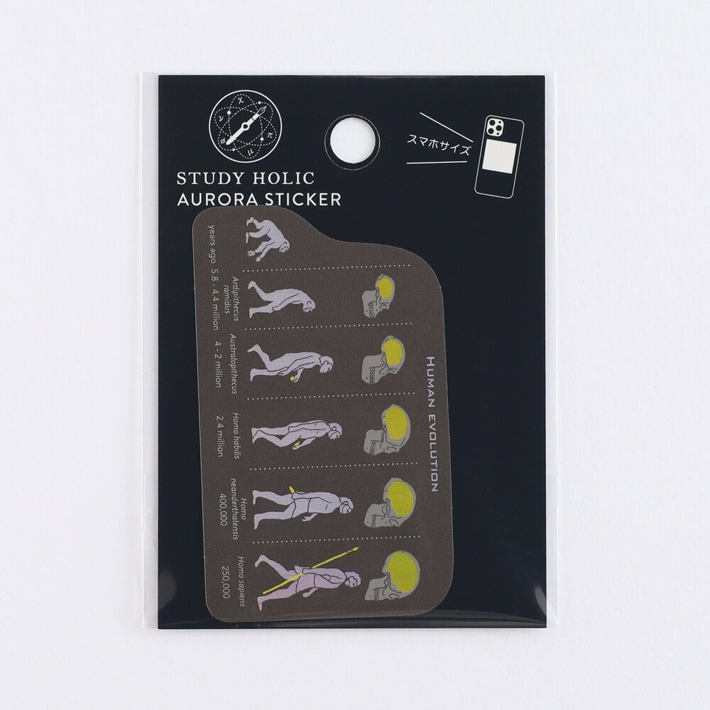 [}C]I[XebJ[iiw/lށj/X^fBzbNiSTUDY HOLICj