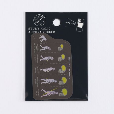 [^:ST-362]IɊGLLPAϐEό̃XebJ[VoBX}zP[Xɂ҂ȃTCYB{́FH80~W60mmȓ