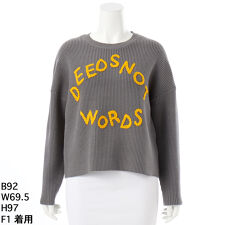 【大きいサイズレディース】手刺繍ロゴニットプルオーバー