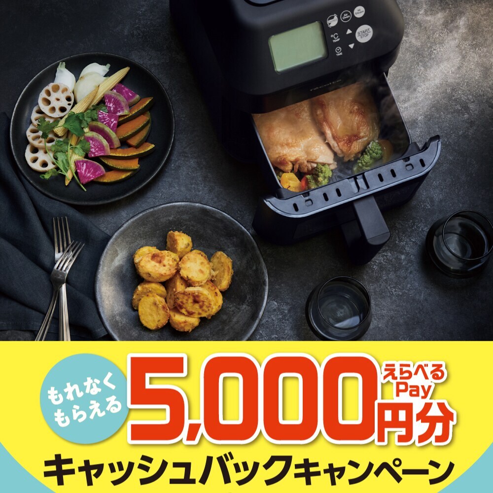 レコルト ハイスチームエアーオーブン RAO-3 | レコルト(recolte