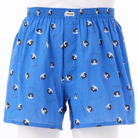 [^:PJT254004-]ʋCɗDAƂG̃sPfނ̃gNXBz悭AĂɍœKȑfނłBEGXg̗łSɂ͔ɂ₳pCn̗pBXbgB