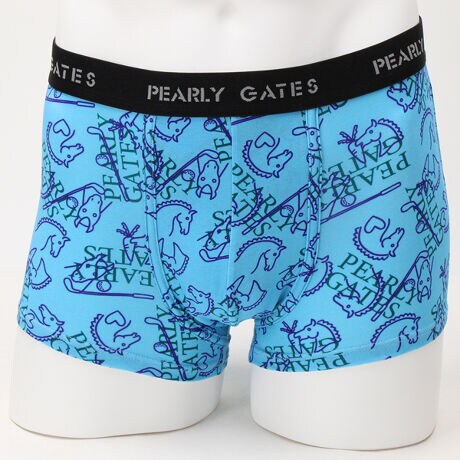 [^:PGB655113]nƃStNu{[Ȃǂ̃St̃`[taANGCeBuŃGKgȃfUC̃{NT[pcłB