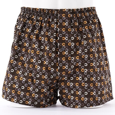 [^:CMT754914-LL]b̃`[t􉽕ɃAWB[hȔzFAVvȂ瑶݊gNXBEGXg͒ߕt2{SdlłƂSnłB100A{B