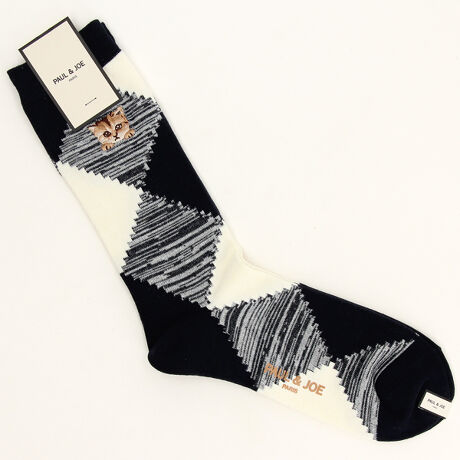 [^:PJM754061-]A[KCɂ傱ƎYklbg̎hJƂN[\bNXBx[VbNȃfUCȂCpNĝA[KC̓R[f̃ANZgɂȂ1łBiRۖhL@\tj